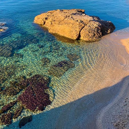 T2 Avec Terrasse & Parking A 5 Min Du Centre, 10 Min Des Plages Hyeres Ngoại thất bức ảnh